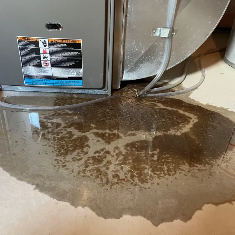 Appliance Leak Cleanup in Rock Hall, MD