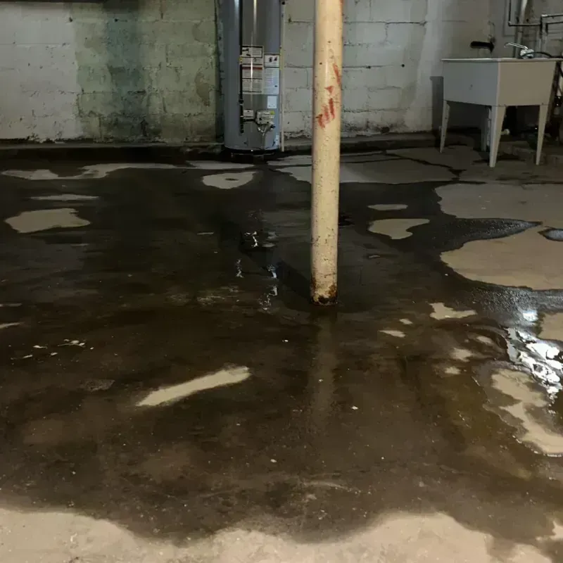 Emergency Water Extraction And Removal in Rock Hall, MD